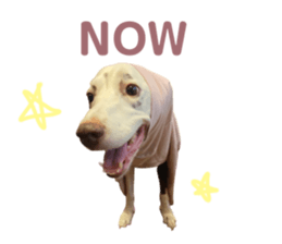 547568725
