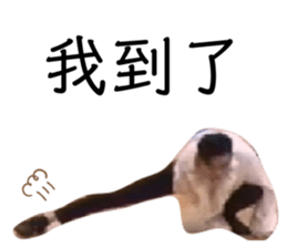 547652870