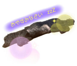 547661368