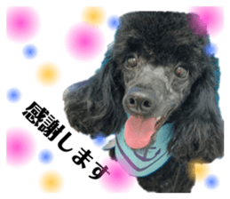 547661373