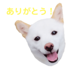 547672145
