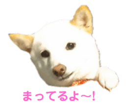 547672155
