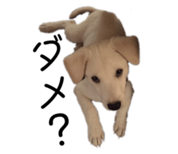 547699350