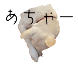 547699356