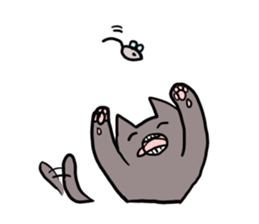 5477268