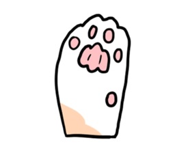 5477298