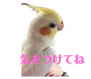 547742400