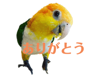547742401