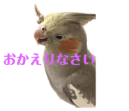 547742403