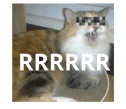 547750818