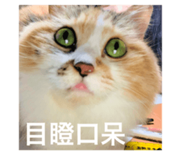547750820