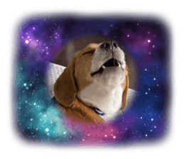 547752327