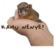 547754949