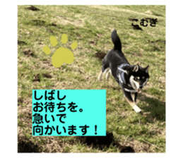 547762776