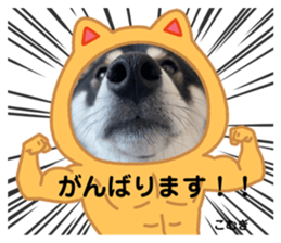 547762780