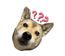 547770962