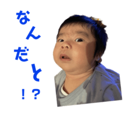 547771175