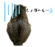 547813390