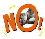 547813397