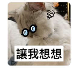 547826775