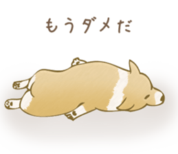 547849