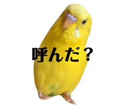 547856198