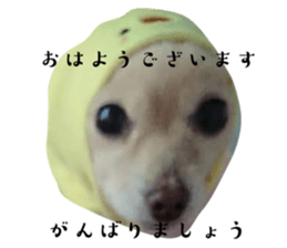 547856210