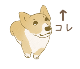 547866
