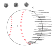 548004406