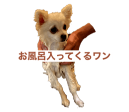 548013718
