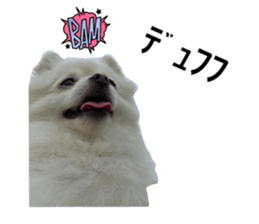 548036924