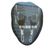 548047686