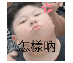 548058905