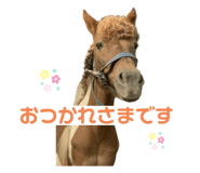 548060536