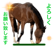 548060538