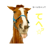 548060547
