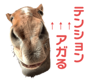 548060564