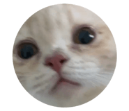 548063857