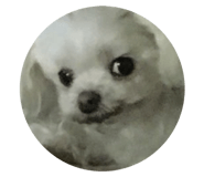 548063859