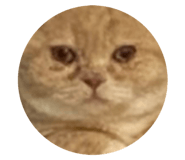 548063861