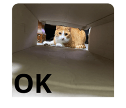 548077316