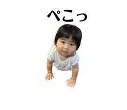 548084644