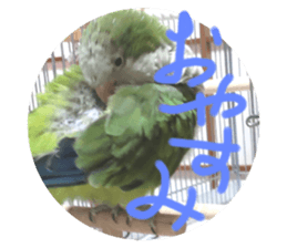 548133336