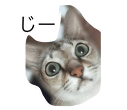 548181216
