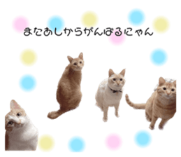 548184523