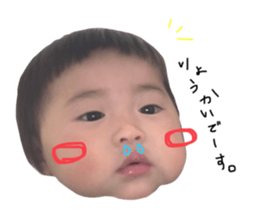 548194043