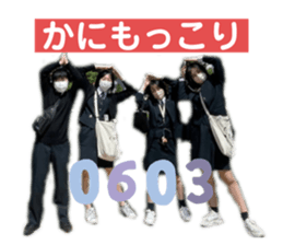 548225213