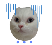 548228691