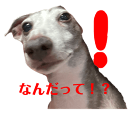 548275065