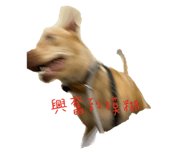 548347875